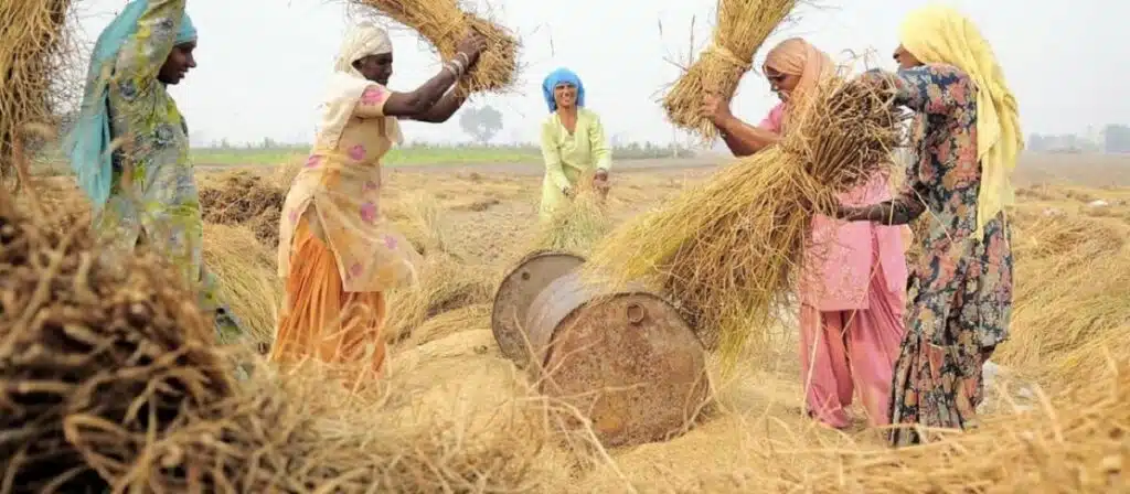 Abundant crop harvest, a direct result of the Agricultural Revolution pioneered by inventions like the seed drill.