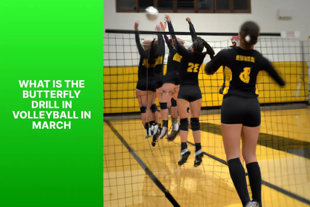 A photo illustrating 'what is the butterfly drill in volleyball in march?' showing volleyball players performing the drill on a court.